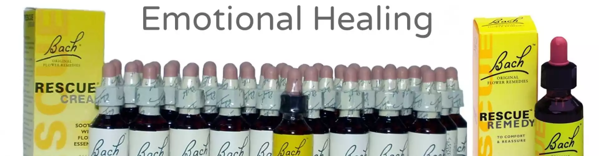 Bach Flower Remedies for Emotional Healing 101