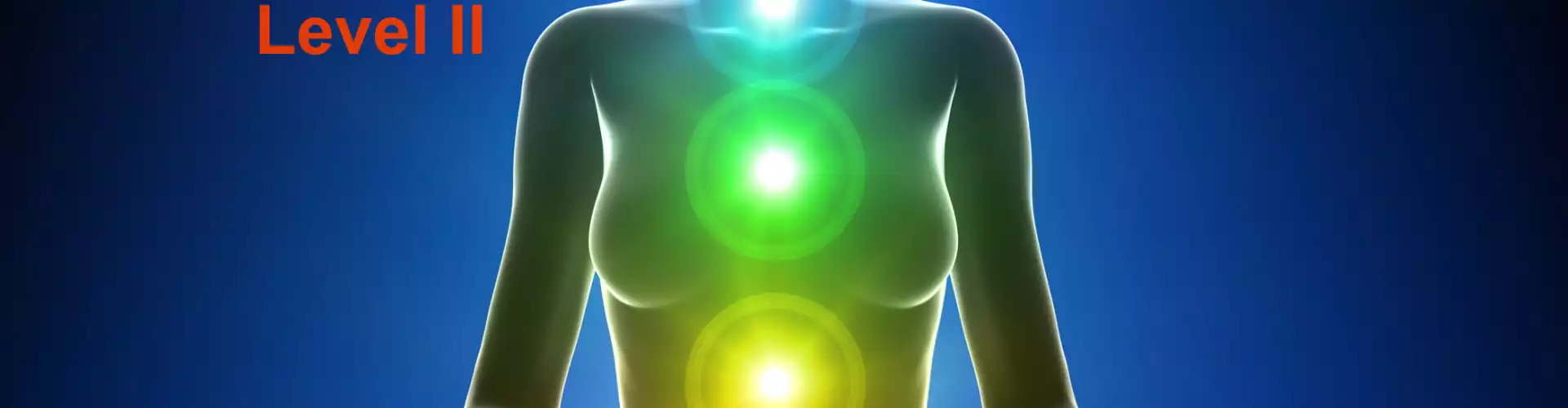 Understanding Your Energetic System - The Chakras & Outer Bodies as a system