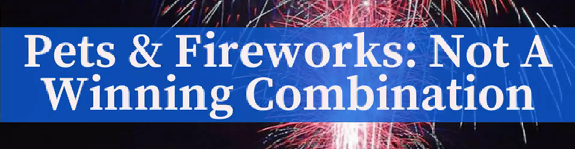 Pets & Fireworks: Not A Winning Combination
